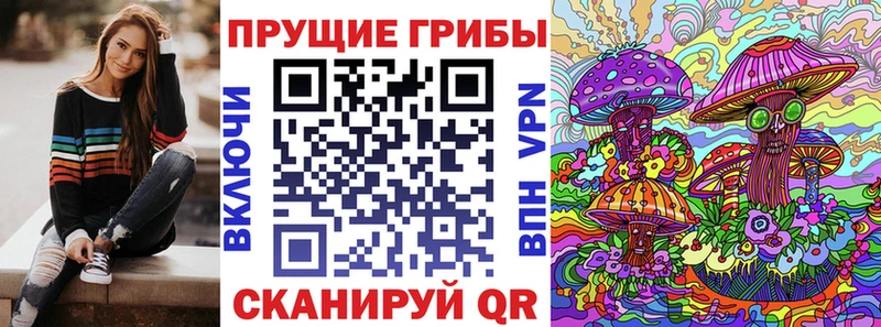 цены наркотик  Новоалександровск  мега вход  Галлюциногенные грибы мицелий 