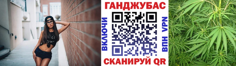 Конопля гибрид  магазин продажи наркотиков  Новоалександровск 